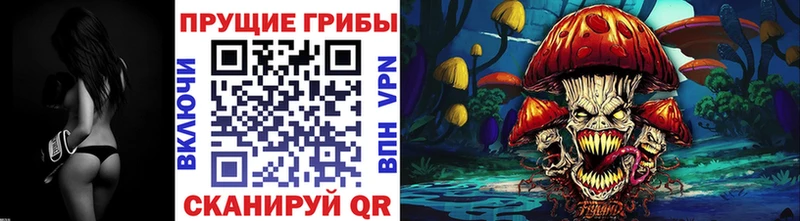 Купить закладки  Руза  Псилоцибиновые грибы Psilocybine cubensis 